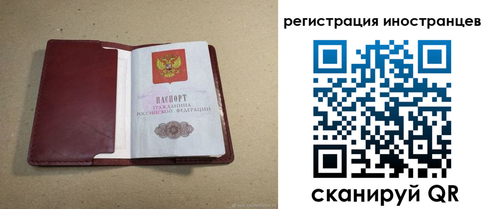 регистрация для школы в Фрязино